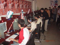 推動(dòng)網(wǎng)絡(luò)文化市場(chǎng)發(fā)展 促進(jìn)文化繁榮與規(guī)范經(jīng)營(yíng)